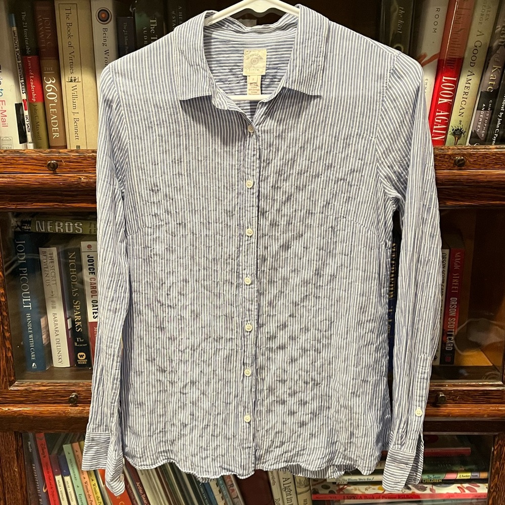 Jcrew the perfect shirt blue stripe